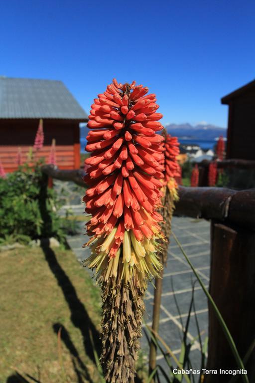 Terra Incognita Villa Ushuaia Exteriör bild