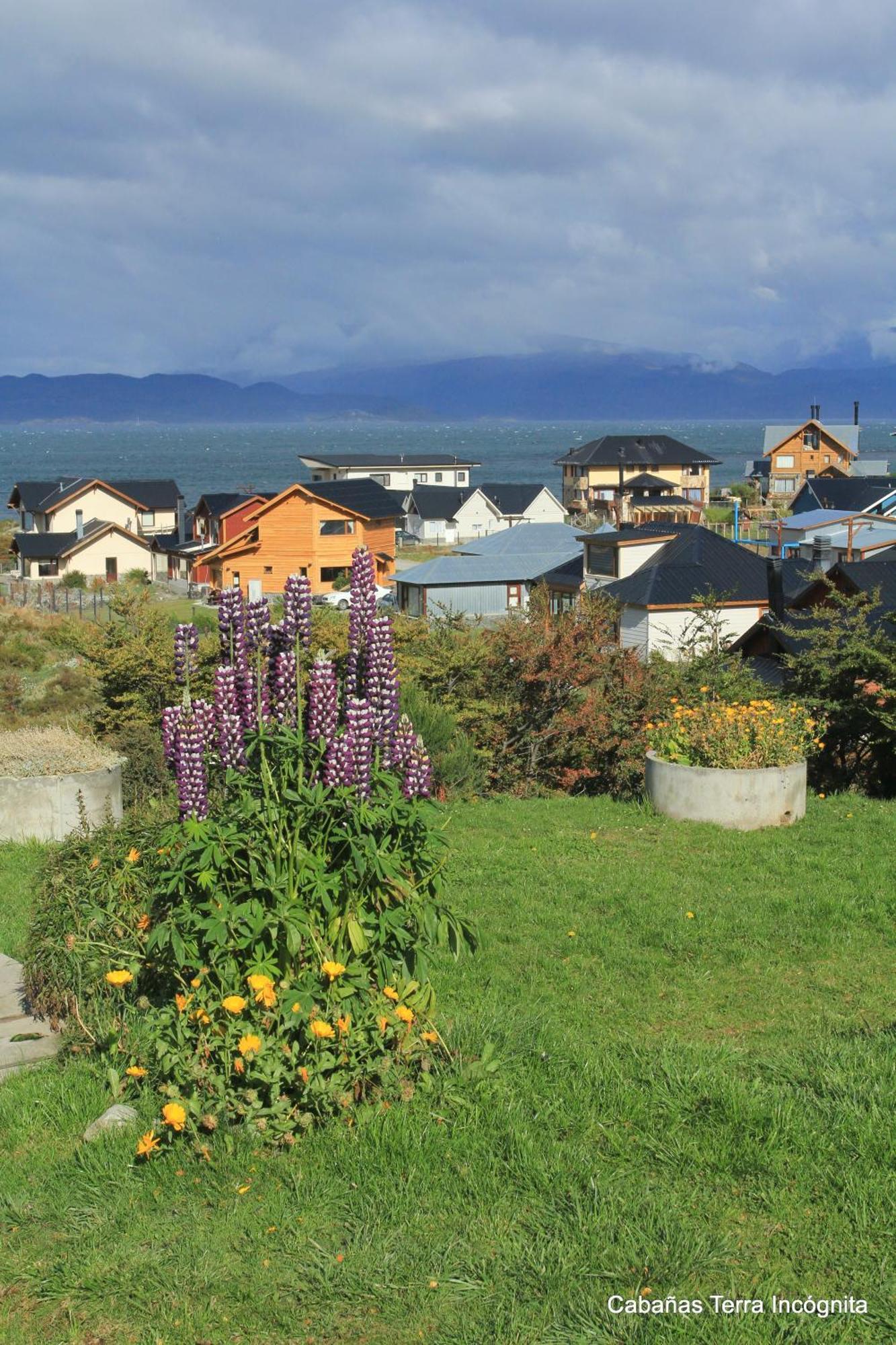 Terra Incognita Villa Ushuaia Rum bild