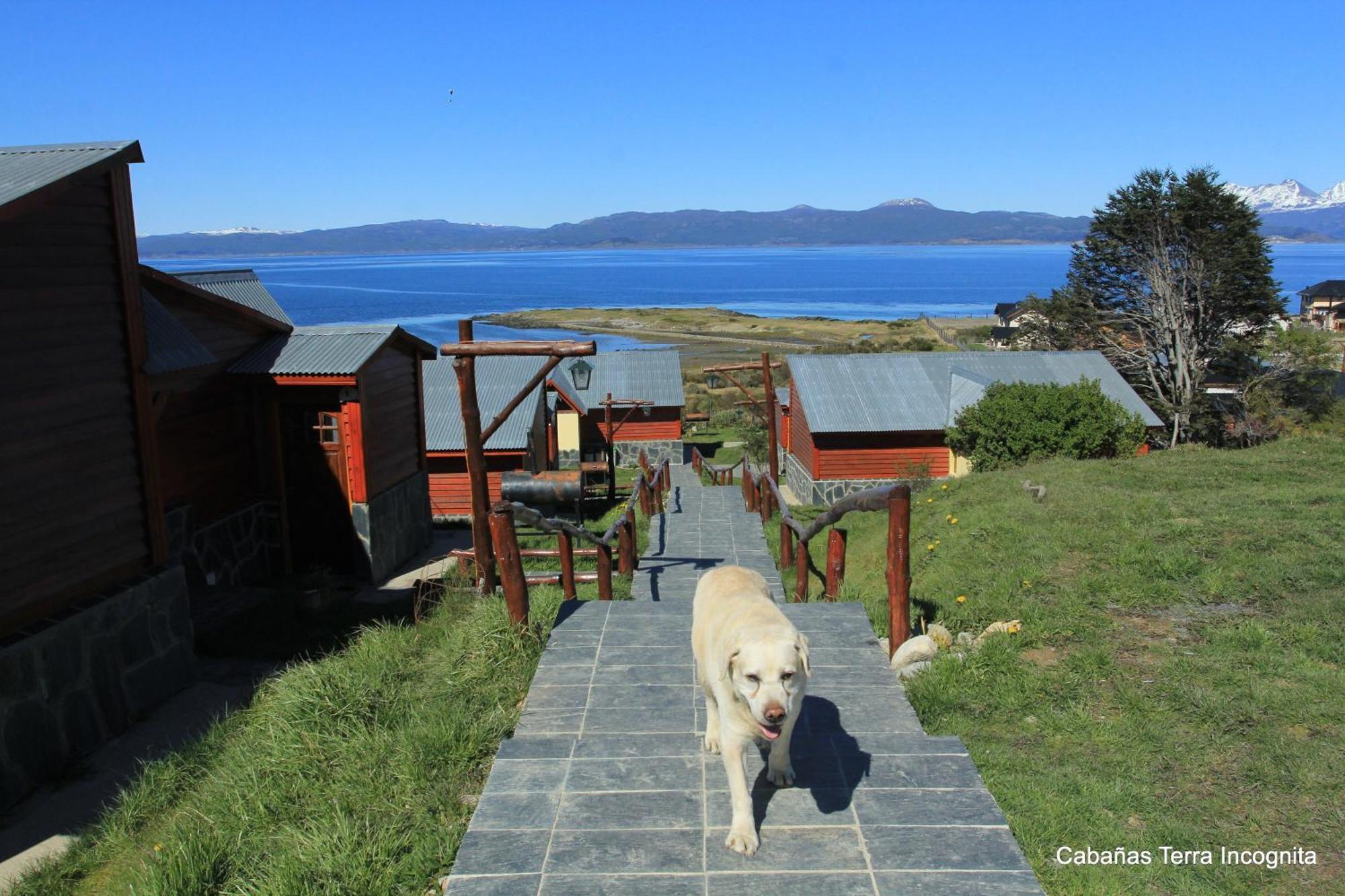 Terra Incognita Villa Ushuaia Rum bild