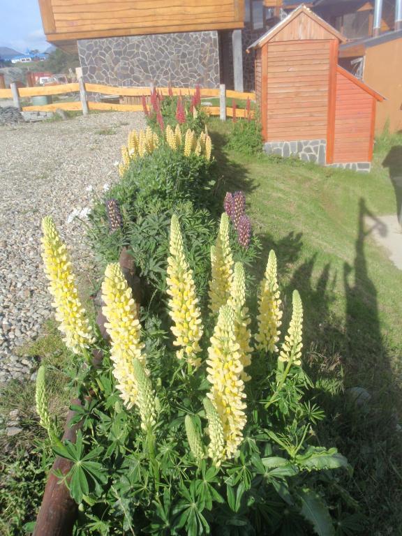 Terra Incognita Villa Ushuaia Rum bild