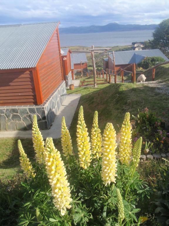 Terra Incognita Villa Ushuaia Rum bild